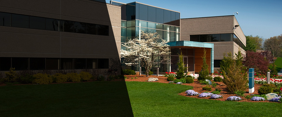 Wolfforth Landscapers