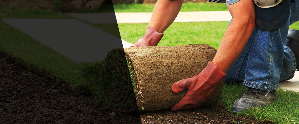 Wolfforth Landscapers